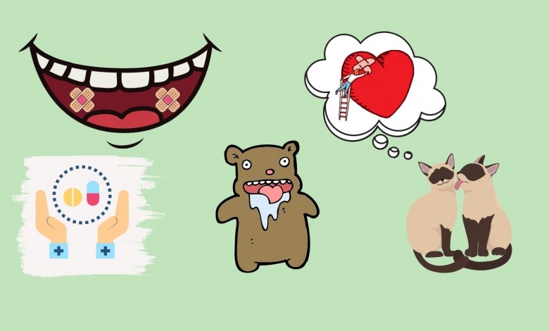How to Quickly Heal Wounds of Animals: Licking Ağız Yaraları Kapak Görseli