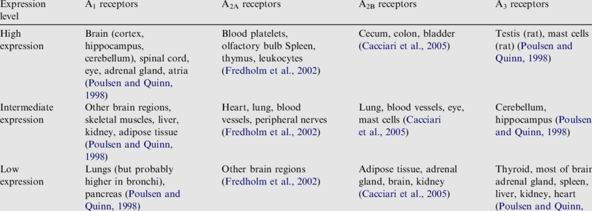 Distribution of adenosine receptors