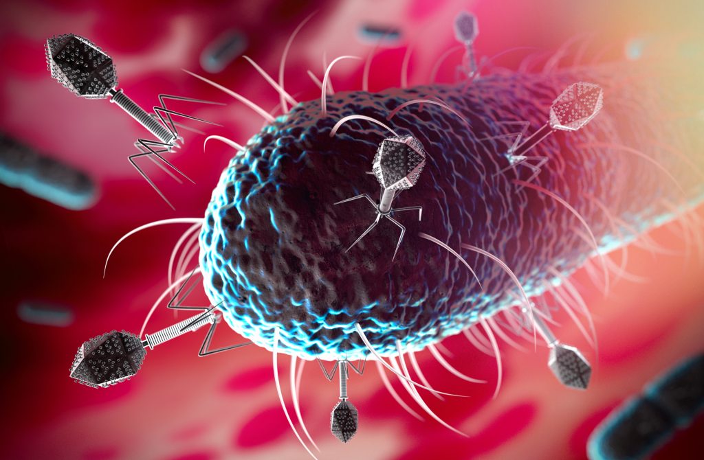 Bacterial