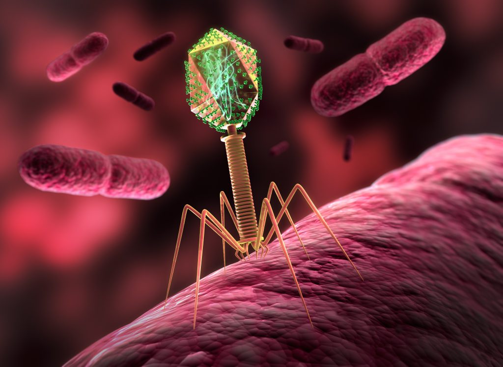 Bacterial