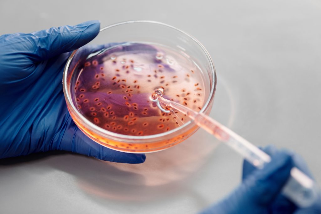 Bacterial