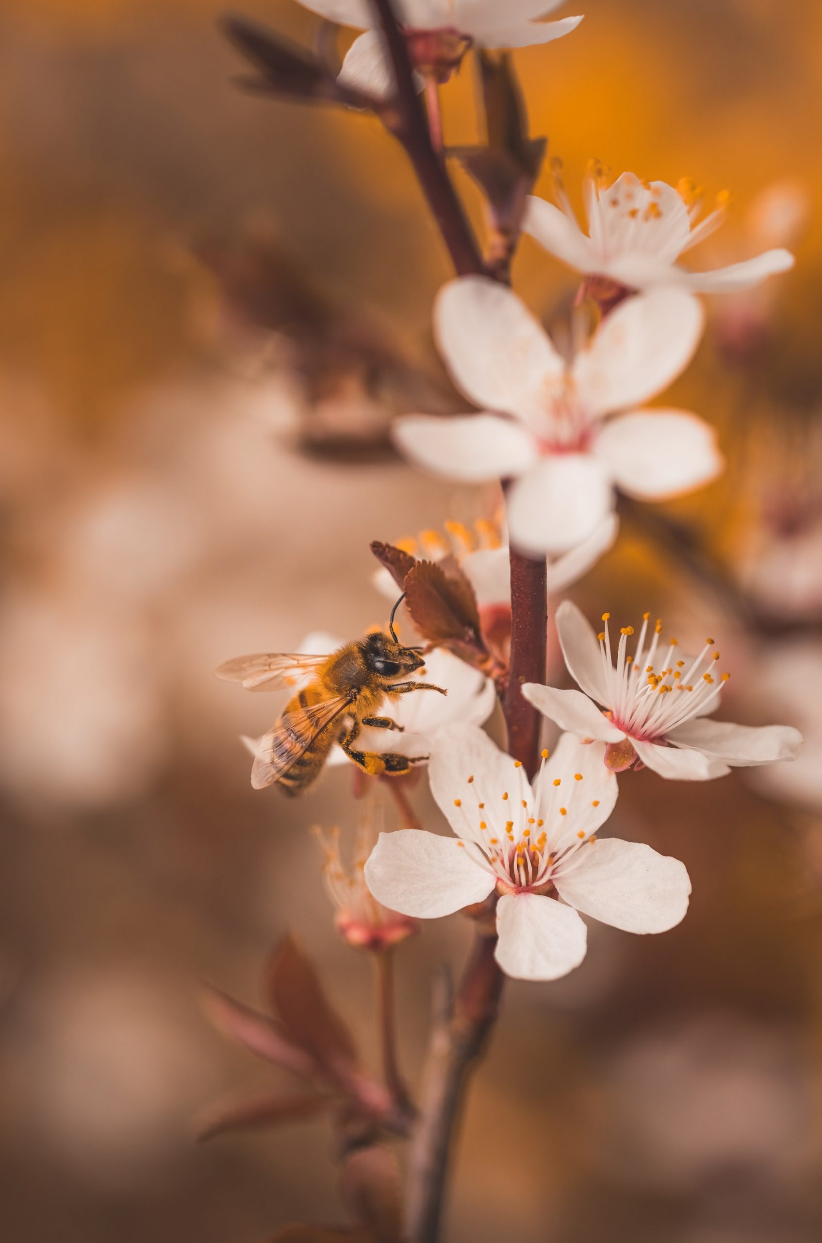 andy holmes wdz dez94RQ unsplash 1 scaled
