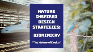 Podcast Biomimicry