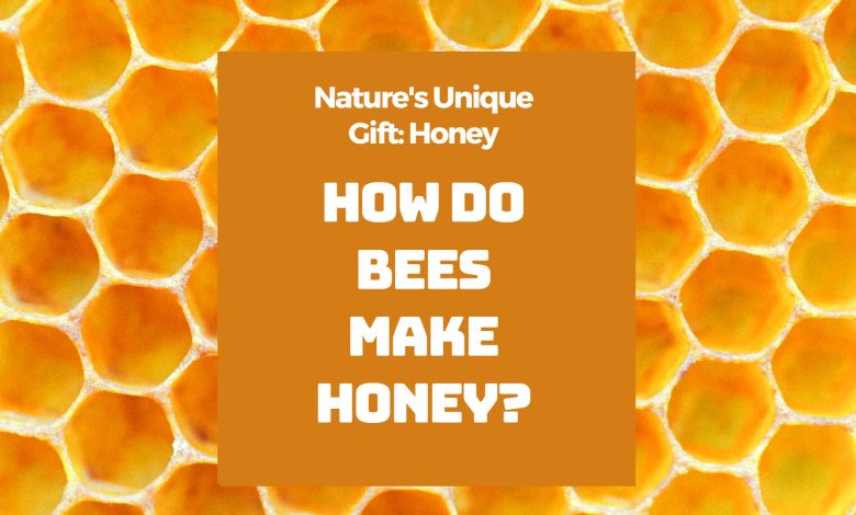 How Do Bees Make Honey