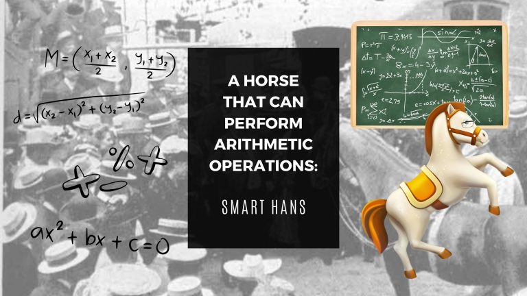 Smart Hans