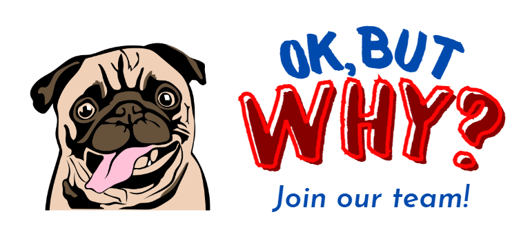 Join Our Team Join our team 1