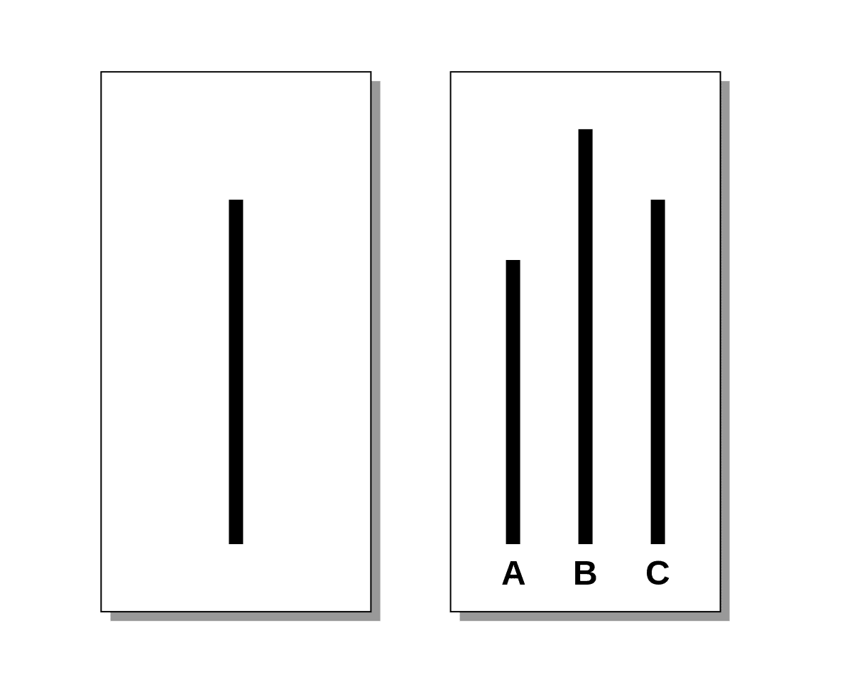 The Asch Conformity Experiment The Power of Herd Psychology