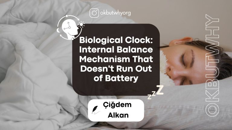 Biological Clock