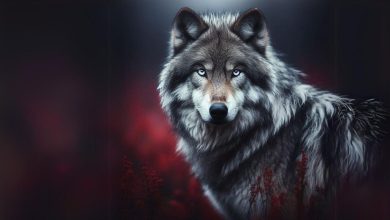 Wolves: Creatures That Remember the Frost