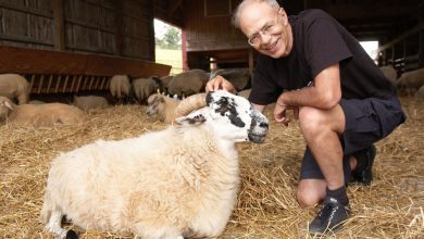 Peter Singer: The Most Influential Living Philosopher