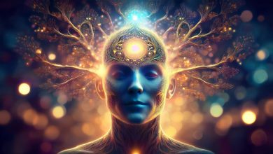 Where Is This Third Eye? The Pineal Gland Where Is This Third Eye? The Pineal Gland