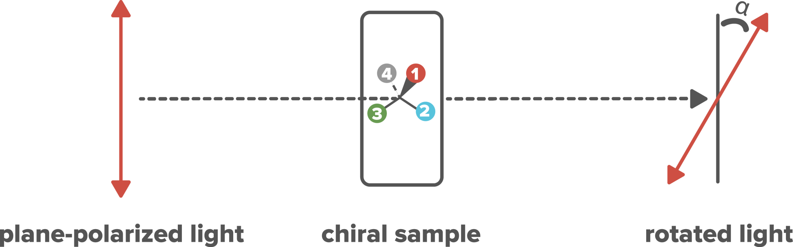 Louis Pasteur: Father of Microbiology Diagram showing plane polarized light passing through a chiral sample and becoming rotated by an angle alpha