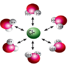 Nobel Chemistry Award – 1903 – Svante August Arrhenius A chloride ion surrounded by six water molecules, connected by double-headed arrows