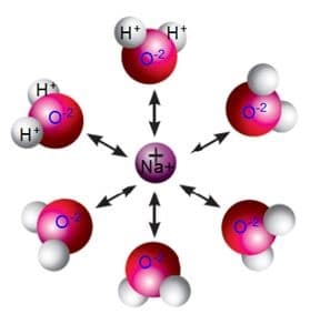 Nobel Chemistry Award – 1903 – Svante August Arrhenius Sodium ion surrounded by six water molecules in a hydration shell