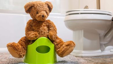 Why Do We Need the Toilet When We Get Home?
