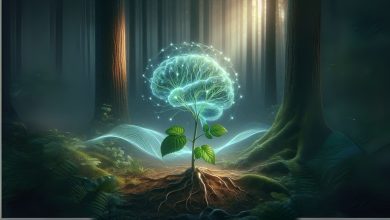 Is Memory Possible in Plants?