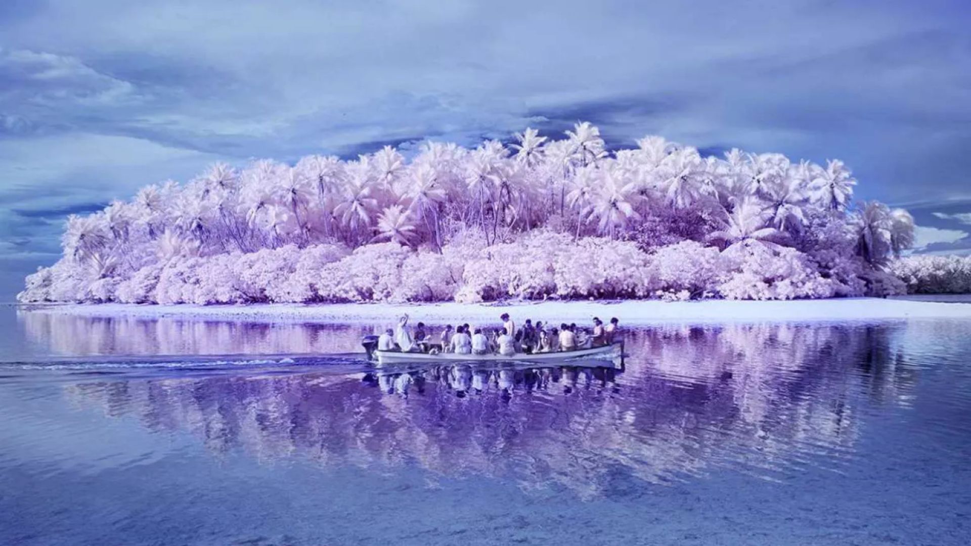 Color Blindness and the Island of Achromatopsia Color Blindness and the Island of Achromatopsia