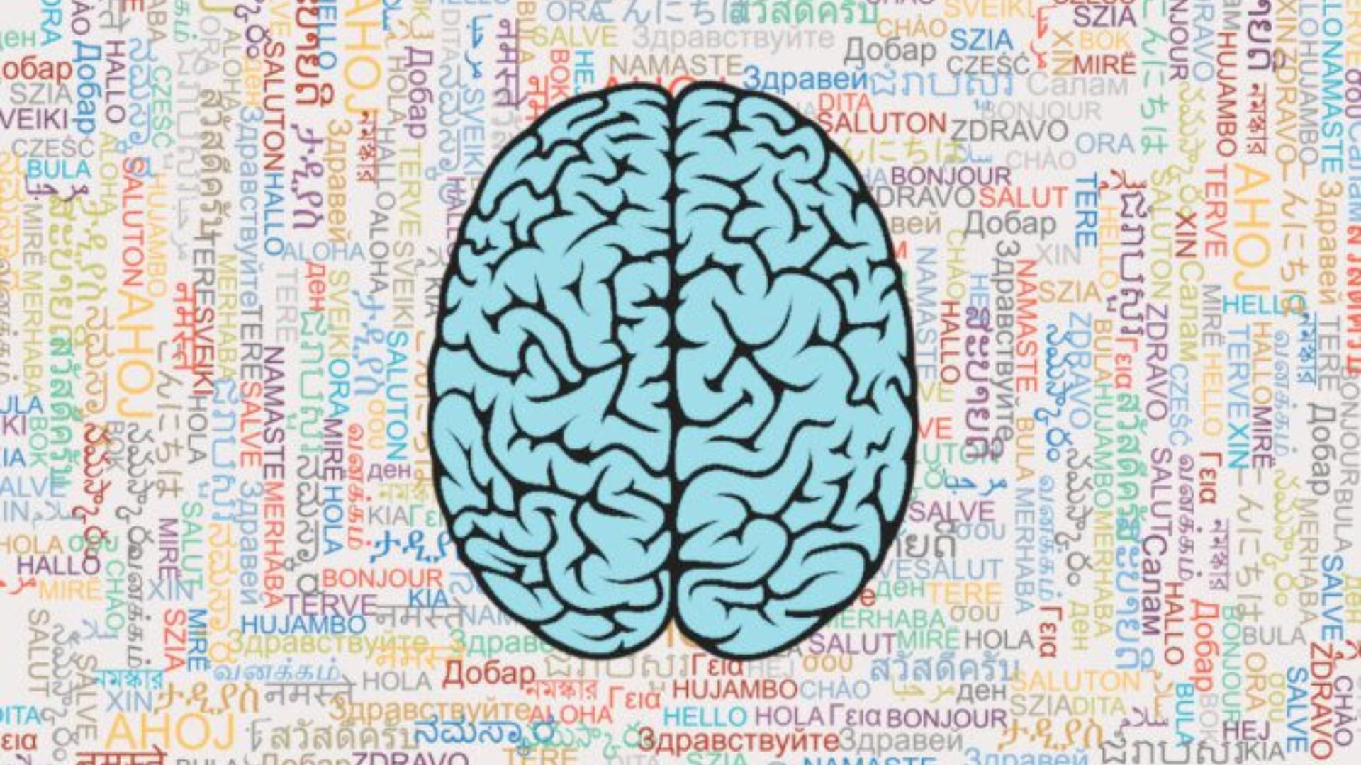 The Evolution of Language: From Signs to Grammar The Evolution of Language: From Signs to Grammar