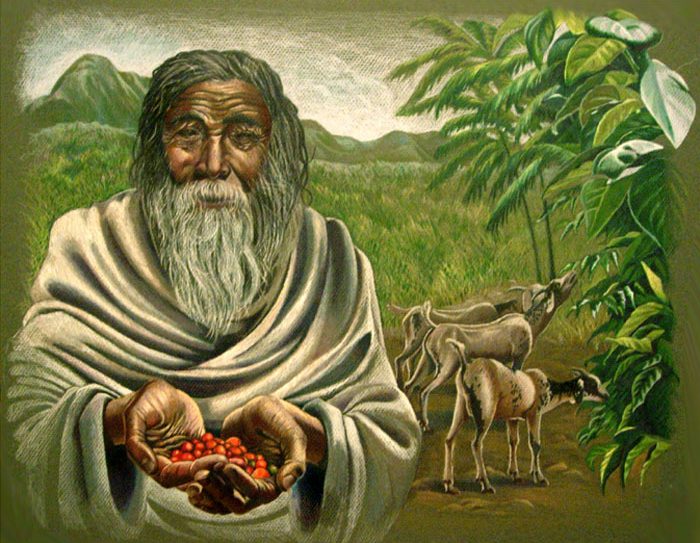 The Historical Journey of Coffee The Historical Journey of Coffee