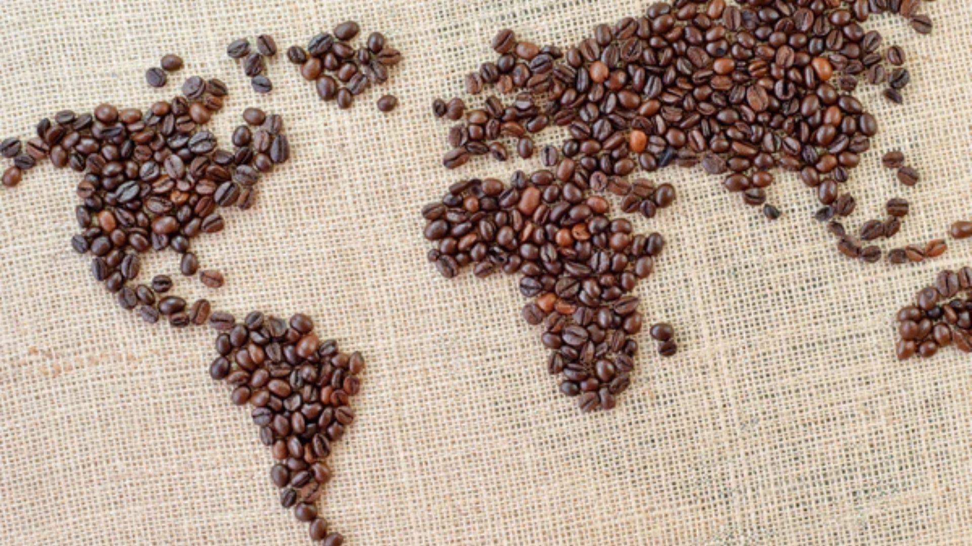 The Historical Journey of Coffee The Historical Journey of Coffee