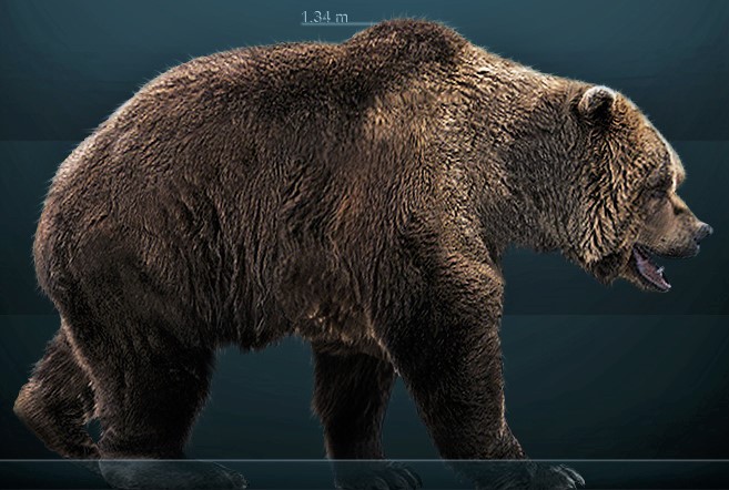 When Hungry, He Is Not Himself: The Bear When Hungry, He Is Not Himself: The Bear