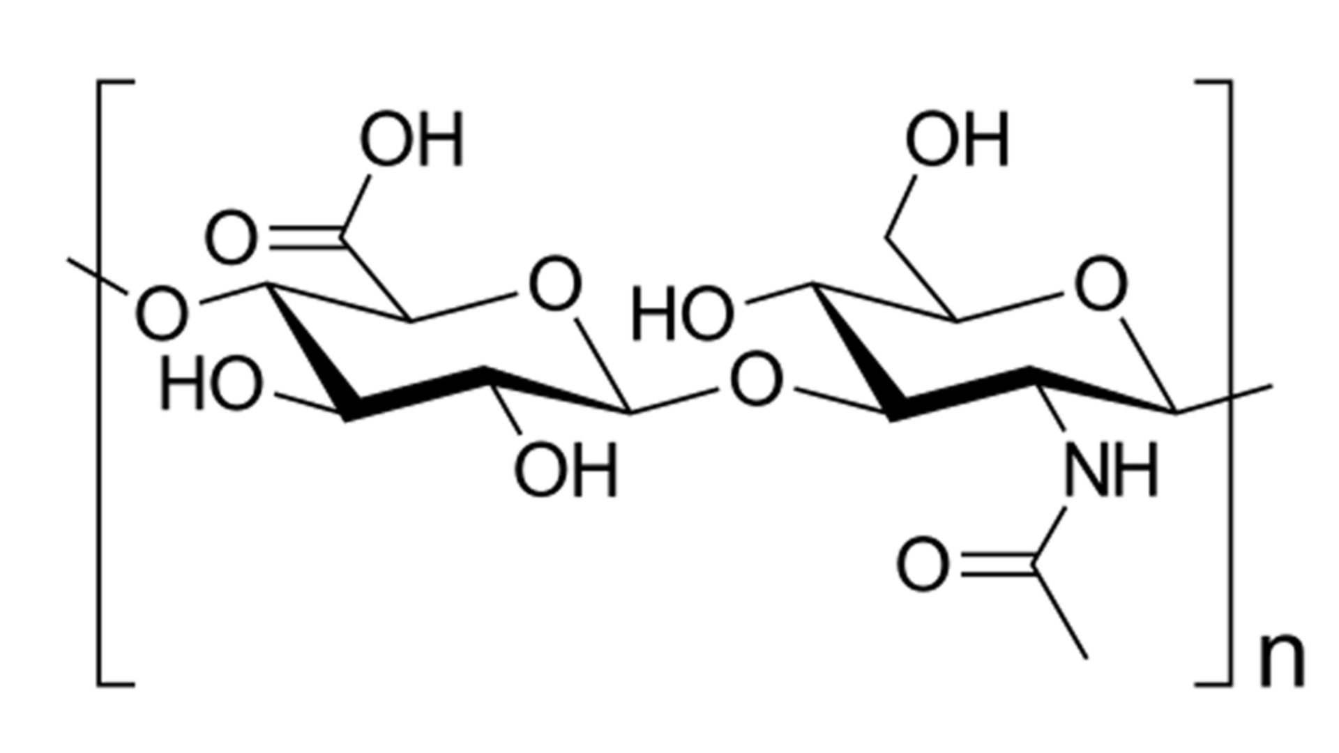 Hyaluronic Acid: The Science of a Natural Miracle from Past to Future