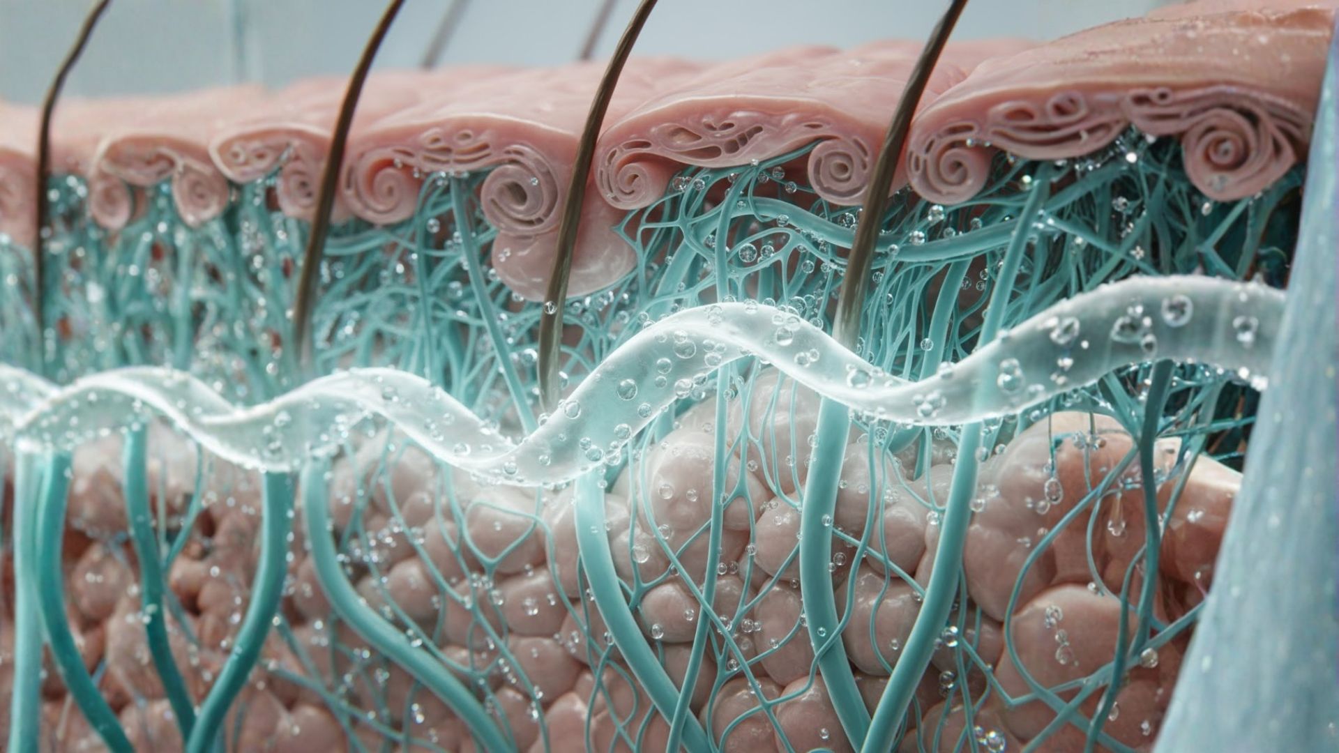 Hyaluronic Acid: The Science of a Natural Miracle from Past to Future