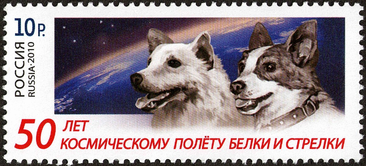Space Dogs: Belka and Strelka Space Dogs: Belka and Strelka