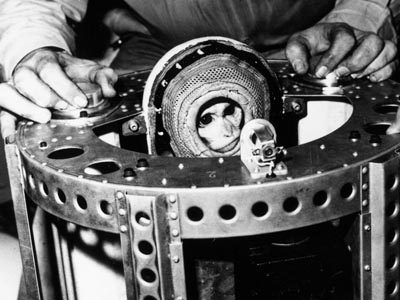 Space Dogs: Belka and Strelka Space Dogs: Belka and Strelka