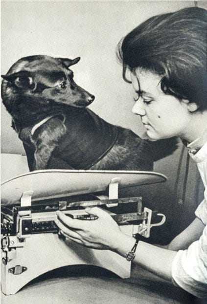 Space Dogs: Belka and Strelka Space Dogs: Belka and Strelka