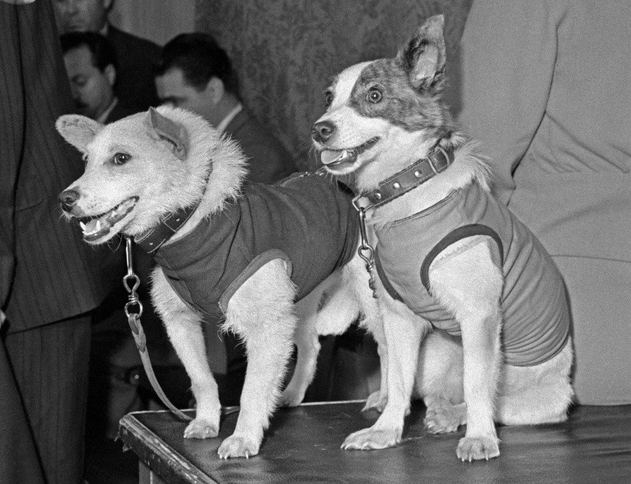 Space Dogs: Belka and Strelka Space Dogs: Belka and Strelka