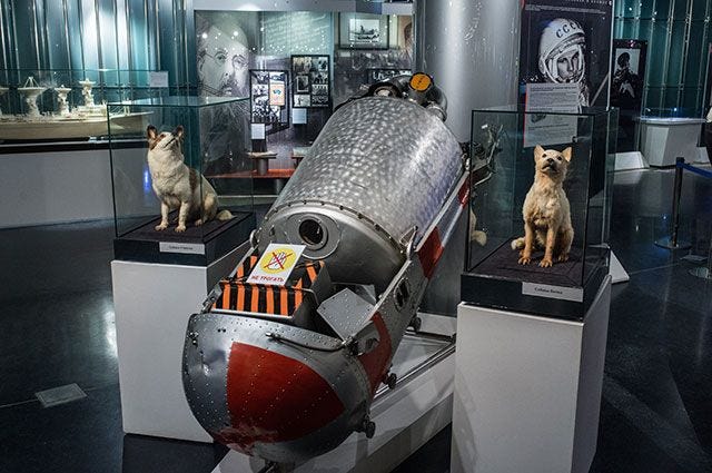Space Dogs: Belka and Strelka Space Dogs: Belka and Strelka