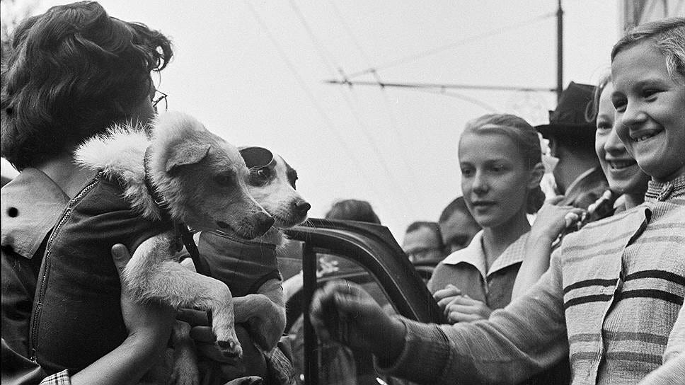 Space Dogs: Belka and Strelka Space Dogs: Belka and Strelka