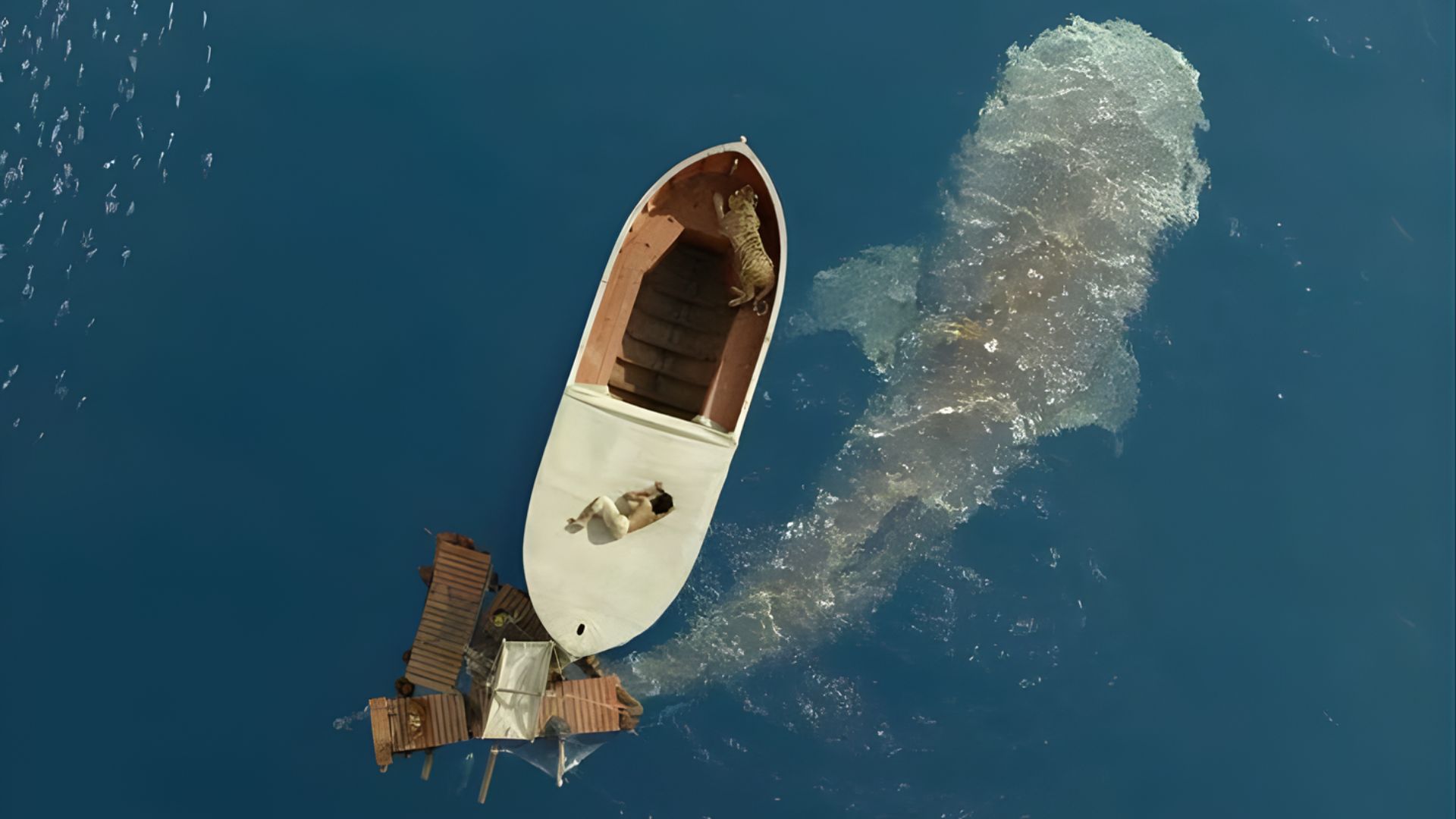 A Theological Film Review: Life of Pi A Theological Film Review: Life of Pi