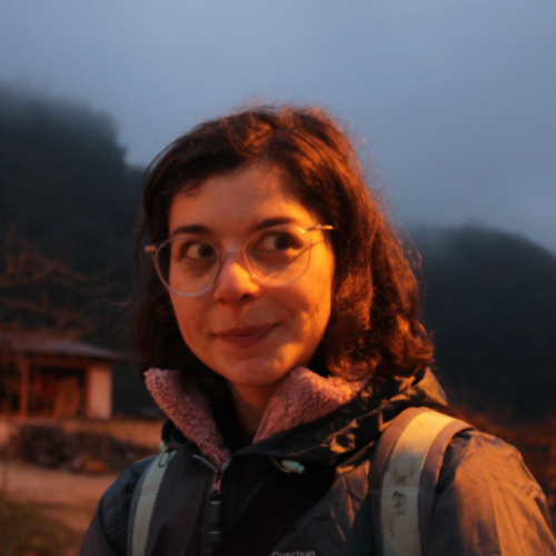 Dilem Gürel