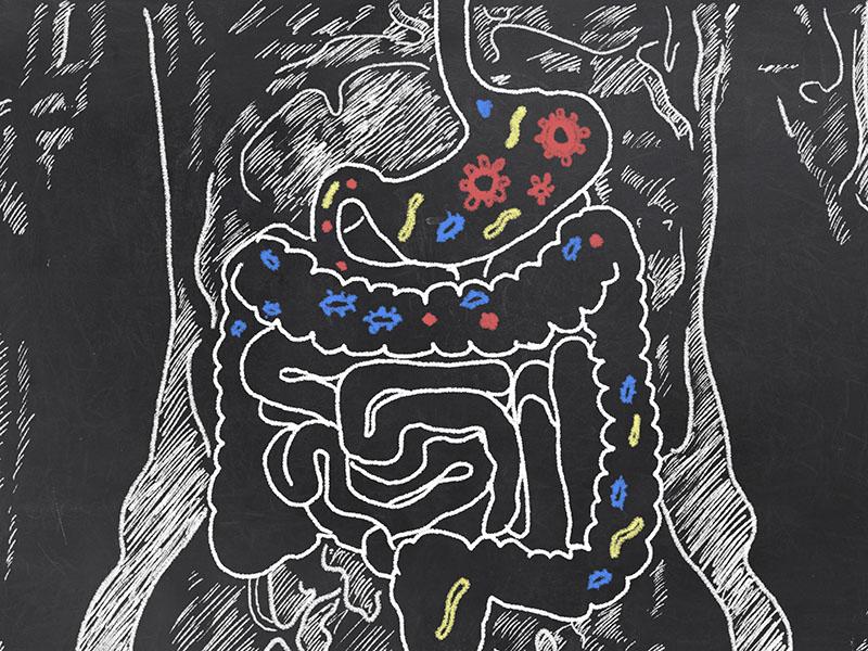 Can Germs Get Germs? Mikrobiyom Ekosistemi
