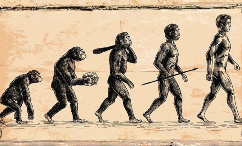 ¿Cómo moldeó la evolución al cuerpo humano? Del pulgar a las lágrimas