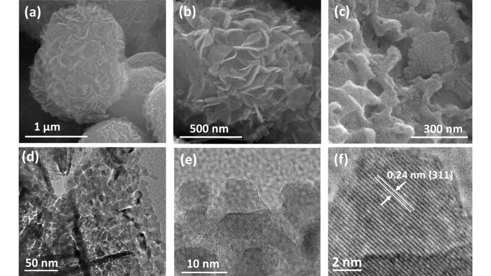 Nanotecnología: ¡Hay mucho espacio al fondo! Nanotecnología: ¡Hay mucho espacio al fondo!