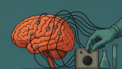 Una prueba de memoria: los experimentos de Loftus